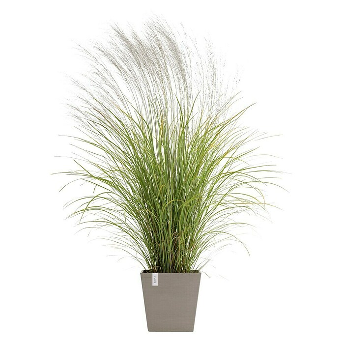 Ecopots Rotterdam Pflanzkasten mit Wasserspeicher (Außenmaß (L x B x H): 35 x 35 x 34,4 cm, Kunststoff, Braungrau) | BAUHAUS