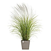 Ecopots Rotterdam Pflanzkasten mit Wasserspeicher (Außenmaß (L x B x H): 35 x 35 x 34,4 cm, Kunststoff, Braungrau) | BAUHAUS