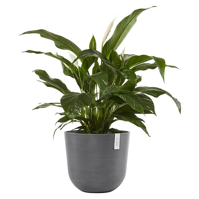 Ecopots Oslo Pflanztopf (Außenmaß (Ø x H): 45 x 39,4 cm, Kunststoff, Grau) | BAUHAUS