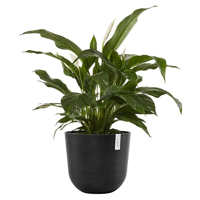Ecopots Oslo Pflanztopf (Außenmaß (Ø x H): 45 x 39,4 cm, Kunststoff, Dunkelgrau) | BAUHAUS