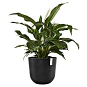 Ecopots Oslo Pflanztopf (Außenmaß (Ø x H): 45 x 39,4 cm, Kunststoff, Dunkelgrau) | BAUHAUS