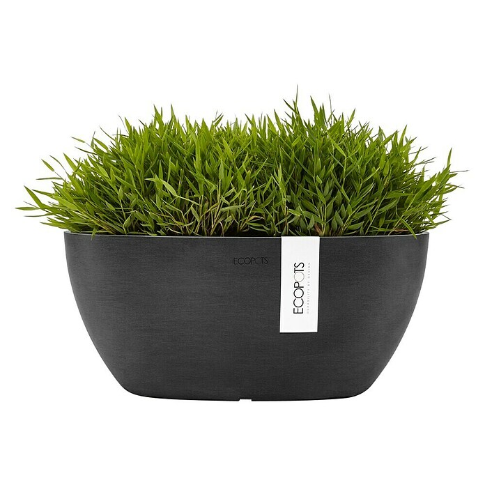Ecopots Sofia Pflanzschale Oval (L x B x H: 29,5 x 13,4 x 13,5 cm, Grau) | BAUHAUS