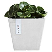 Ecopots Rotterdam Pflanzkasten (Außenmaß (L x B x H): 20,3 x 20,3 x 17,8 cm, Kunststoff, Weiß) | BAUHAUS