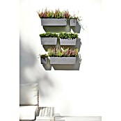 Ecopots Pflanzkasten Manhatten (Außenmaß (L x B x H): 55 x 17,2 x 15,3 cm, Kunststoff, Grau, L) | BAUHAUS