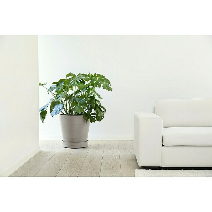Ecopots Amsterdam Blumentopf-Untersetzer Amsterdam (Außenmaß (Ø x H): 41,6 x 9 cm, Kunststoff, Taupe) | BAUHAUS