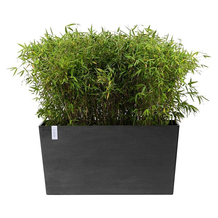 Ecopots Pflanzkasten Paris (Außenmaß (L x B x H): 100,5 x 39,6 x 51,8 cm, Kunststoff, Dunkelgrau, Ausstattung Pflanzgefäß: Rollen) | BAUHAUS