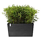 Ecopots Pflanzkasten Paris (Außenmaß (L x B x H): 100,5 x 39,6 x 51,8 cm, Kunststoff, Dunkelgrau, Ausstattung Pflanzgefäß: Rollen) | BAUHAUS