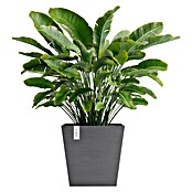 Ecopots Rotterdam Pflanzkasten mit Wasserspeicher (Außenmaß (L x B x H): 43,6 x 43,6 x 42,5 cm, Kunststoff, Grau) | BAUHAUS
