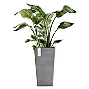 Ecopots Rotterdam Pflanzsäule eckig (Außenmaß (L x B x H): 30,5 x 30,5 x 50,5 cm, Kunststoff, Grau) | BAUHAUS