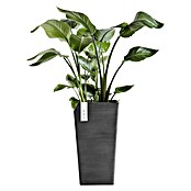 Ecopots Rotterdam Pflanzsäule eckig (Außenmaß (L x B x H): 30,5 x 30,5 x 50,5 cm, Kunststoff, Dunkelgrau) | BAUHAUS