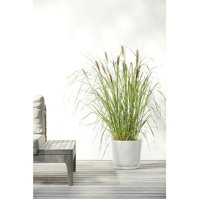 Ecopots Oslo Pflanztopf mit Wasserspeicher (Außenmaß (Ø x H): 25 x 21,4 cm, Kunststoff, Weiß) | BAUHAUS