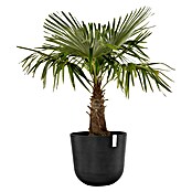 Ecopots Oslo Pflanztopf (Außenmaß (Ø x H): 55 x 48,5 cm, Kunststoff, Dunkelgrau) | BAUHAUS