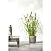Ecopots Oslo Pflanztopf mit Wasserspeicher (Außenmaß (Ø x H): 25 x 21,4 cm, Kunststoff, Braungrau) | BAUHAUS