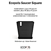Ecopots Rotterdam Kasten-Untersetzer (37,1 x 34,5 x 3,4 cm, Kunststoff, Dunkelgrau) | BAUHAUS