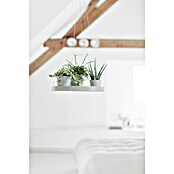 Ecopots Blumenampel (Außenmaß (Ø x H): 36 x 3 cm, Kunststoff, Weiß Grau) | BAUHAUS