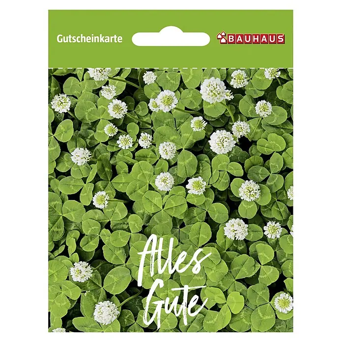Gutscheinkarte - Per Postversand, Individueller Betrag, Kleeblatt - Bauhaus Gutscheinkarte mit Kleeblatt-Motiv und dem Schriftzug "Alles Gute" – ideal als Geschenkkarte für Heimwerker und Gartenfreunde.
