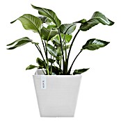 Ecopots Rotterdam Pflanzkasten (Außenmaß (L x B x H): 29,5 x 29,5 x 26,4 cm, Kunststoff, Weiß) | BAUHAUS