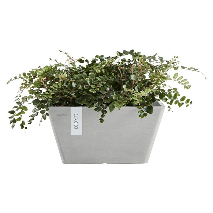 Ecopots Berlin Pflanzschale eckig (Außenmaß (L x B x H): 25,5 x 25,5 x 13 cm, Kunststoff, Weiß Grau) | BAUHAUS