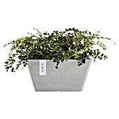 Ecopots Berlin Pflanzschale eckig (Außenmaß (L x B x H): 25,5 x 25,5 x 13 cm, Kunststoff, Weiß Grau) | BAUHAUS