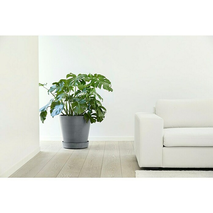 Ecopots Amsterdam Blumentopf-Untersetzer Amsterdam (Außenmaß (Ø x H): 41,6 x 9 cm, Kunststoff, Grau) | BAUHAUS