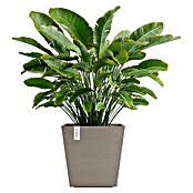 Ecopots Rotterdam Pflanzkasten mit Wasserspeicher (Außenmaß (L x B x H): 43,6 x 43,6 x 42,5 cm, Kunststoff, Braungrau) | BAUHAUS