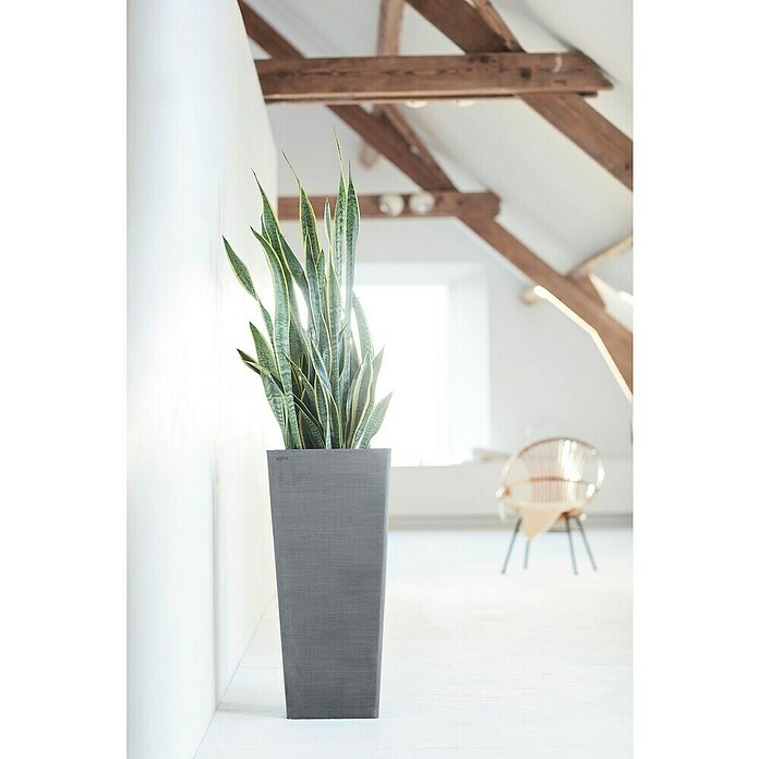Ecopots Rotterdam Pflanzsäule eckig (Außenmaß (L x B x H): 32,7 x 32,7 x 70,5 cm, Kunststoff, Grau) | BAUHAUS