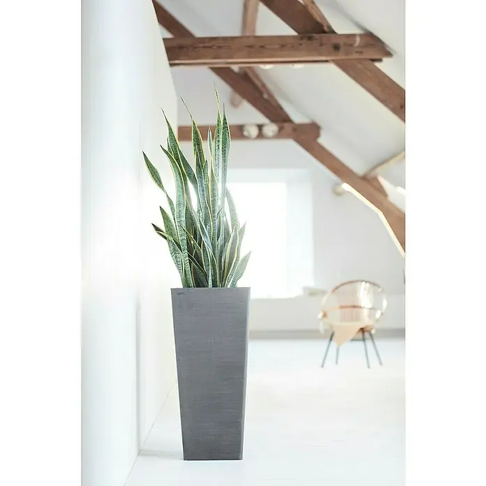 Ecopots Rotterdam Pflanzsäule eckig - Außenmaß (L x B x H): 32,7 x 32,7 x 70,5 cm, Kunststoff, Grau - Elegante Zimmerpflanze in einem modernen, grauen Topf, ideal für die stilvolle Dekoration von Innenräumen. Bringt frische Akzente in jeden Raum.