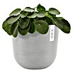 Ecopots Oslo Pflanztopf mit Wasserspeicher (Außenmaß (Ø x H): 25 x 21,4 cm, Kunststoff, Weißgrau) | BAUHAUS