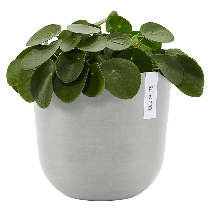 Ecopots Oslo Pflanztopf mit Wasserspeicher (Außenmaß (Ø x H): 25 x 21,4 cm, Kunststoff, Weißgrau) | BAUHAUS