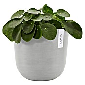 Ecopots Oslo Pflanztopf mit Wasserspeicher (Außenmaß (Ø x H): 25 x 21,4 cm, Kunststoff, Weißgrau) | BAUHAUS