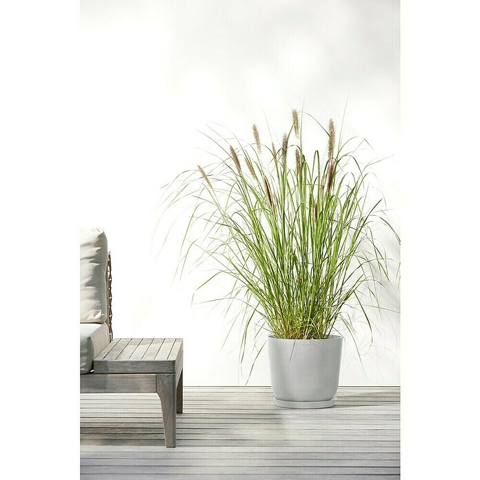 Ecopots Oslo Pflanztopf mit Wasserspeicher (Außenmaß (Ø x H): 25 x 21,4 cm, Kunststoff, Weißgrau) | BAUHAUS