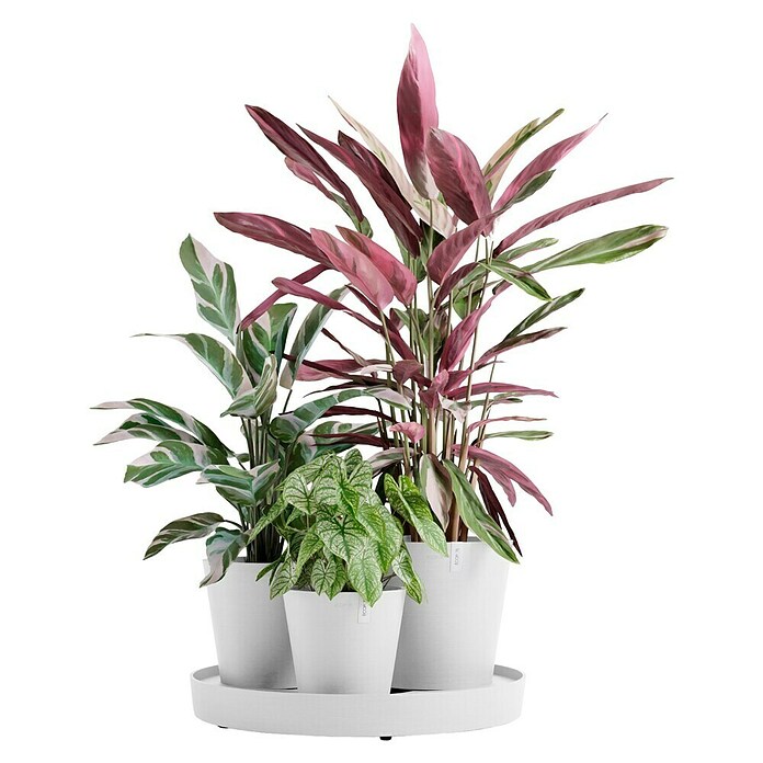 Ecopots Pflanztopf Dubai (Außenmaß (Ø x H): 56,5 x 30,7 cm, Kunststoff, Weiß, 3 Stk.) | BAUHAUS