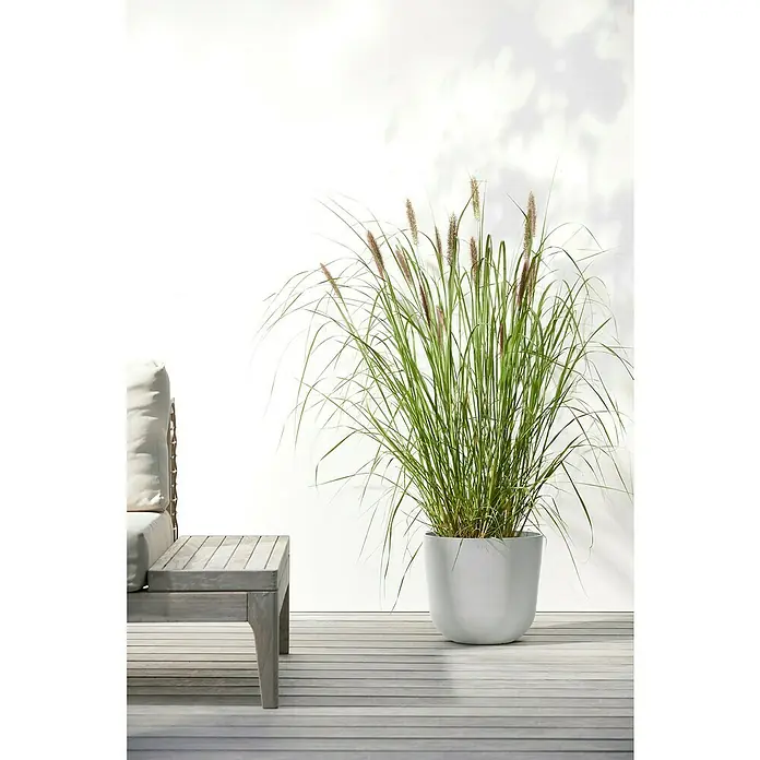 Ecopots Oslo Pflanztopf mit Wasserspeicher - Außenmaß (Ø x H): 25 x 21,4 cm, Kunststoff, Weißgrau - Dekorative Topfpflanze mit hohem Ziergras auf einer Terrasse, die jedem Außenbereich einen Hauch von Natur verleiht.