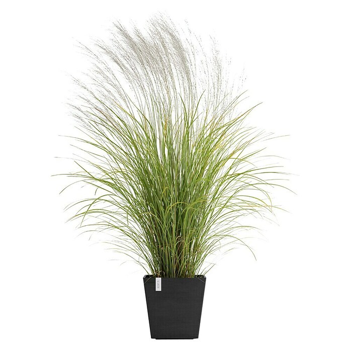 Ecopots Rotterdam Pflanzkasten mit Wasserspeicher (Außenmaß (L x B x H): 35 x 35 x 34,4 cm, Kunststoff, Dunkelgrau) | BAUHAUS