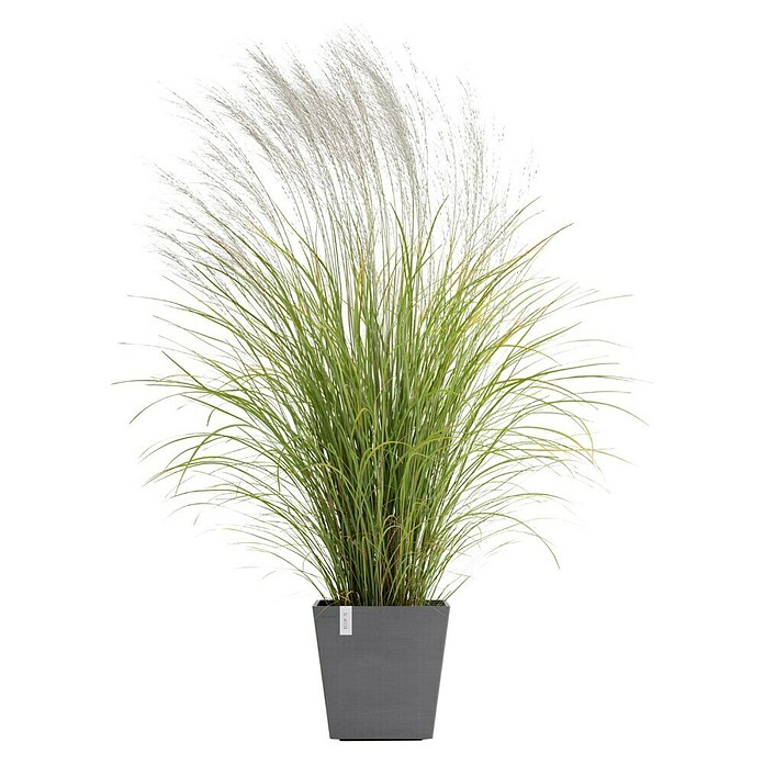 Ecopots Rotterdam Pflanzkasten mit Wasserspeicher (Außenmaß (L x B x H): 35 x 35 x 34,4 cm, Kunststoff, Grau) | BAUHAUS