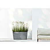 Ecopots Pflanzkasten Paris (Außenmaß (L x B x H): 100,5 x 39,6 x 51,8 cm, Kunststoff, Grau, Ausstattung Pflanzgefäß: Rollen) | BAUHAUS
