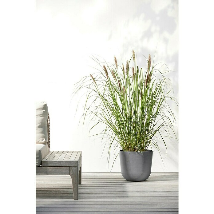 Ecopots Oslo Pflanztopf (Außenmaß (Ø x H): 25 x 21,8 cm, Kunststoff, Grau) | BAUHAUS