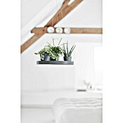 Ecopots Blumenampel (Außenmaß (Ø x H): 36 x 3 cm, Kunststoff, Grau) | BAUHAUS