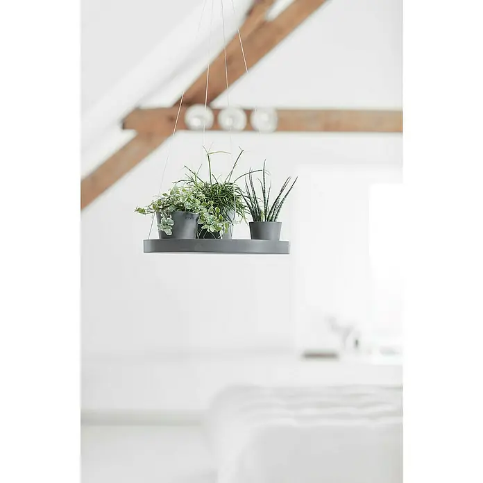 Ecopots Blumenampel - Außenmaß (Ø x H): 36 x 3 cm, Kunststoff, Grau - Hängepflanzenhalterung mit verschiedenen Pflanzen in grauen Töpfen, die an dünnen Drähten von einer Holzstruktur hängen.