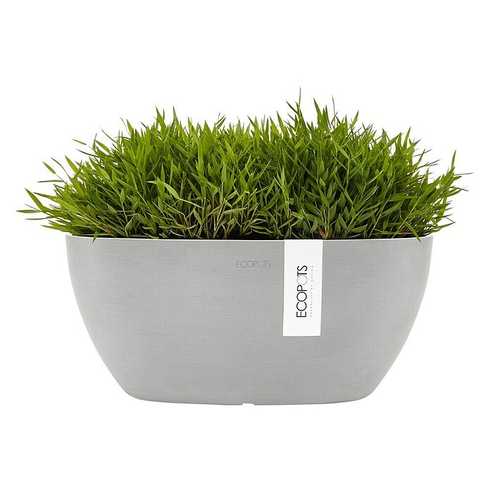 Ecopots Sofia Pflanzschale Sofia (L x B x H: 29,5 x 13,4 x 13,5 cm, Weißgrau) | BAUHAUS