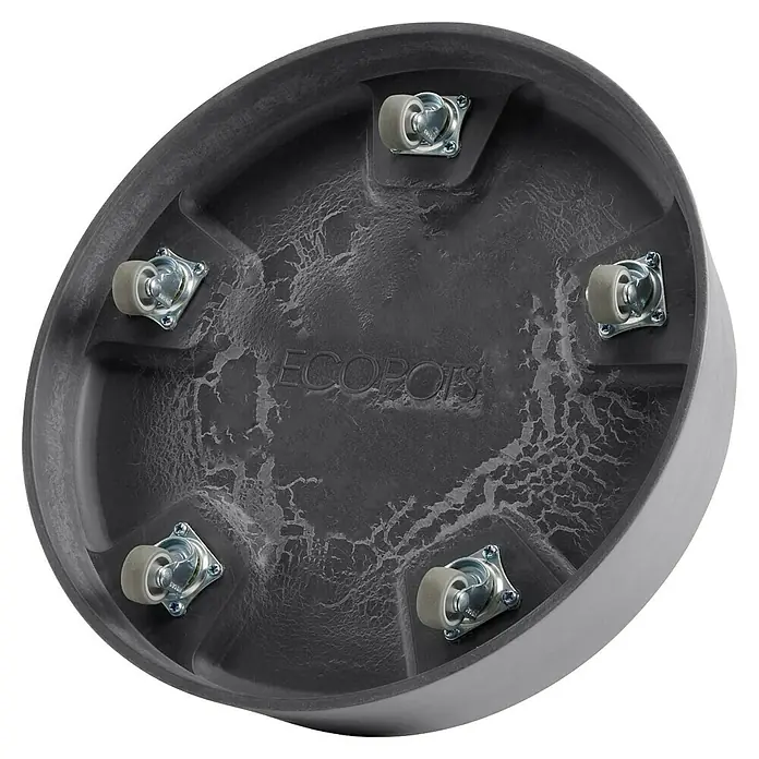 Ecopots Oslo Blumentopf-Untersetzer mit Rollen - Außenmaß (Ø x H): 32,2 x 8,5 cm, Kunststoff, Grau - Nahaufnahme einer ECOPOTS Pflanzgefäß-Untersetzer mit Rollen, ideal zum einfachen Bewegen von Pflanzen. Stilvolles Design für Haus und Garten.