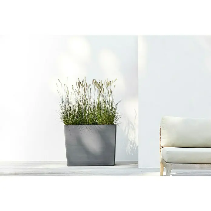 Ecopots Pflanzkasten Paris - Außenmaß (L x B x H): 85,2 x 39,5 x 65,8 cm, Kunststoff, Grau, Ausstattung Pflanzgefäß: Rollen - Pflanzgefäß aus grauem Steinzeug mit hohem Ziergras. Der Pflanzkübel steht auf einer Terrasse vor einer weißen Wand und neben einer Couch.