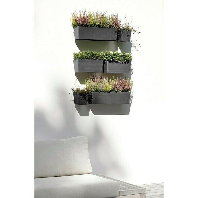 Ecopots Wand-Pflanzkasten Manhattan Wall (Außenmaß (L x B x H): 35 x 17,2 x 15 cm, Kunststoff, Dunkelgrau, Rechteckig) | BAUHAUS