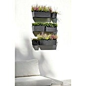 Ecopots Wand-Pflanzkasten Manhattan Wall (Außenmaß (L x B x H): 35 x 17,2 x 15 cm, Kunststoff, Dunkelgrau, Rechteckig) | BAUHAUS