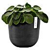 Ecopots Oslo Pflanztopf mit Wasserspeicher (Außenmaß (Ø x H): 25 x 21,4 cm, Kunststoff, Dunkelgrau) | BAUHAUS