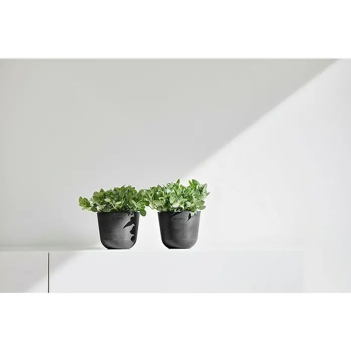 Ecopots Oslo Pflanztopf Mini - Außenmaß (Ø x H): 11,4 x 9,5 cm, Kunststoff, Dunkelgrau - Zwei Ecopots Pflanztöpfe mit grünen Pflanzen auf einer weißen Oberfläche, minimalistisches Design.