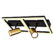 Globo Wand- & Deckenspot Marrie (L x B x H: 44 x 22 x 15,5 cm, Schwarz, Messing, Warmweiß) | BAUHAUS