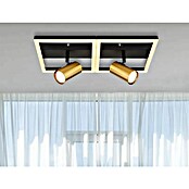 Globo Wand- & Deckenspot Marrie (L x B x H: 44 x 22 x 15,5 cm, Schwarz, Messing, Warmweiß) | BAUHAUS