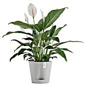 Ecopots Pflanztopf Venice 2 (Außenmaß (Ø x H): 20,1 x 17,7 cm, Kunststoff, Weiß Grau) | BAUHAUS