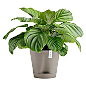 Ecopots Pflanztopf Venice 2 (Außenmaß (Ø x H): 30 x 27,5 cm, Kunststoff, Taupe) | BAUHAUS